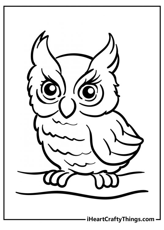 Coloring page for adults featuring little owl with fluffy chest and big feathered horns