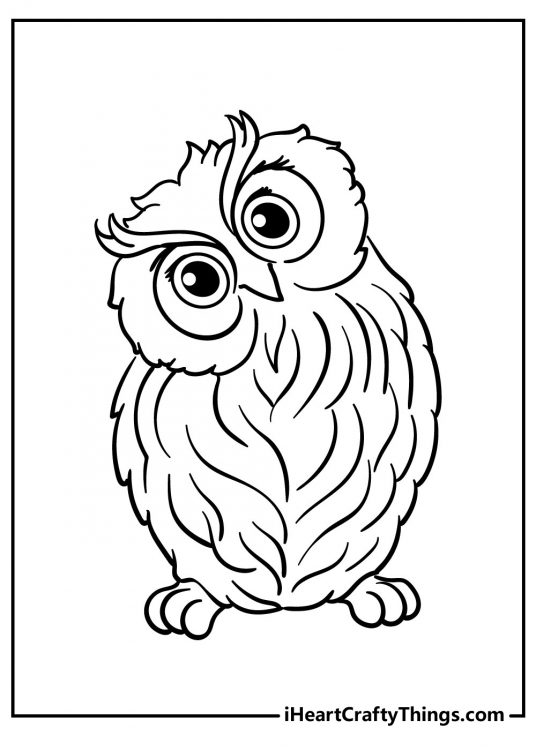 Detailed printable of a curious-looking owl with thick fluffy feathers and head tilted to one side