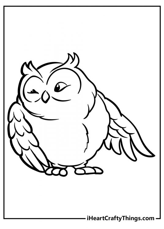 Image of a cartoony owl that appears to be puffing chest up and winking at someone