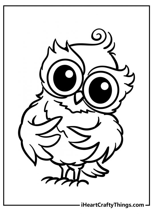 Coloring image of an owl with enormous eyes and a little swirly tuft of feathers on the top of its head