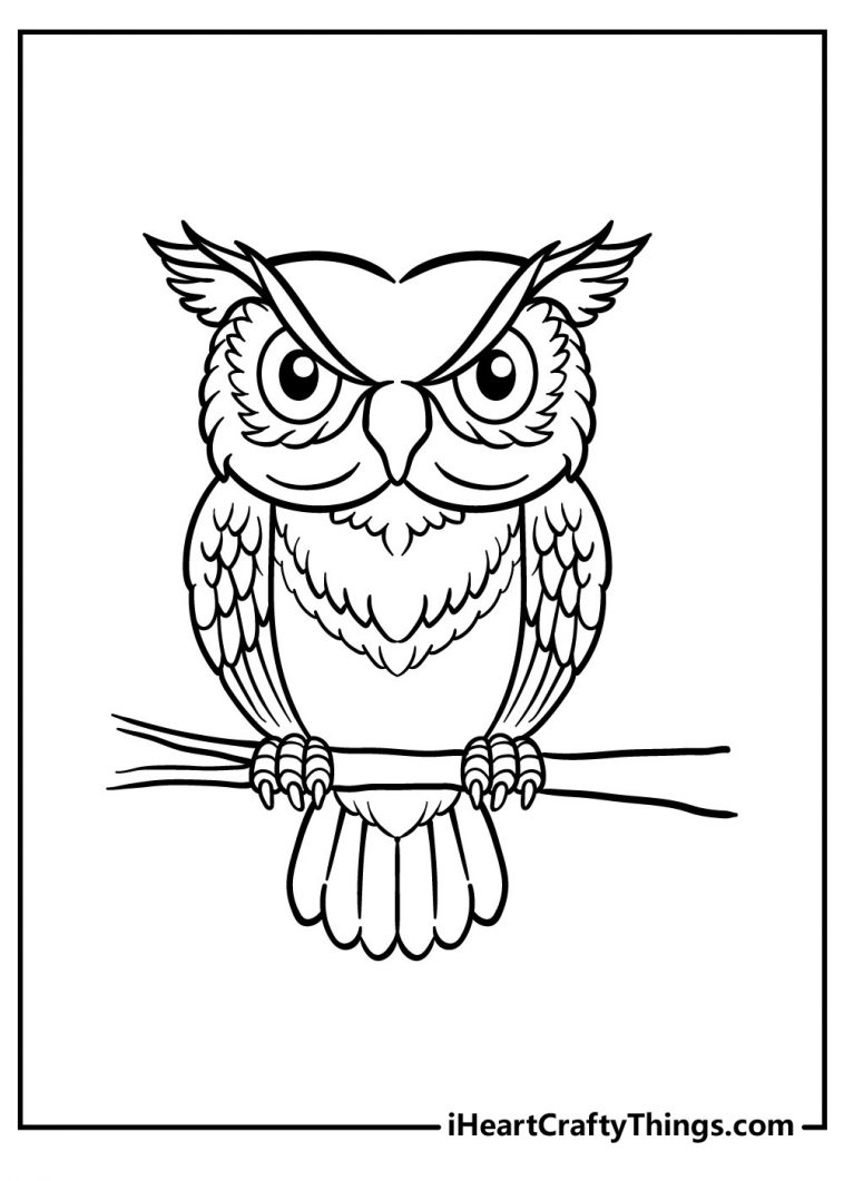 25 Wise Owl Coloring Pages