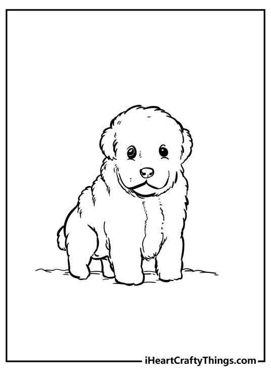 Coloring printable picture for children presenting fluffy and furry little puppy
