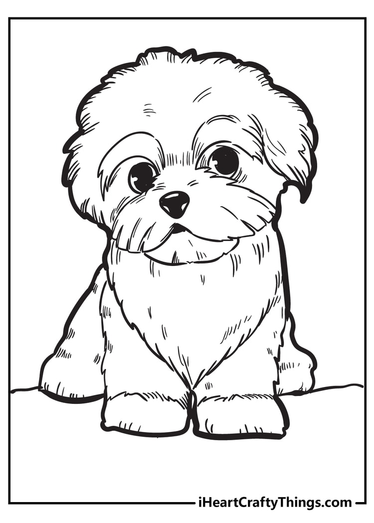 pictures of puppies to color