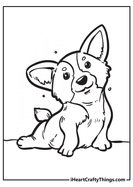 Detailed coloring picture for kids featuring Corgi breed puppy stretching his short legs