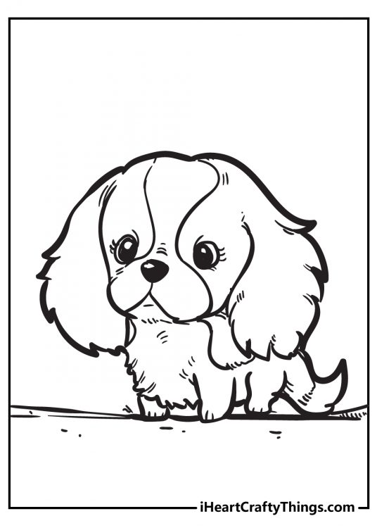 Free printable pdf for kids depicting Cocker Spaniel puppy with signature fluffy ears