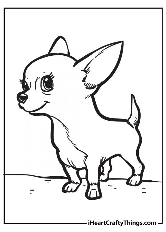 Puppy-themed coloring picture featuring little Chihuahua with a mischievous look on her face