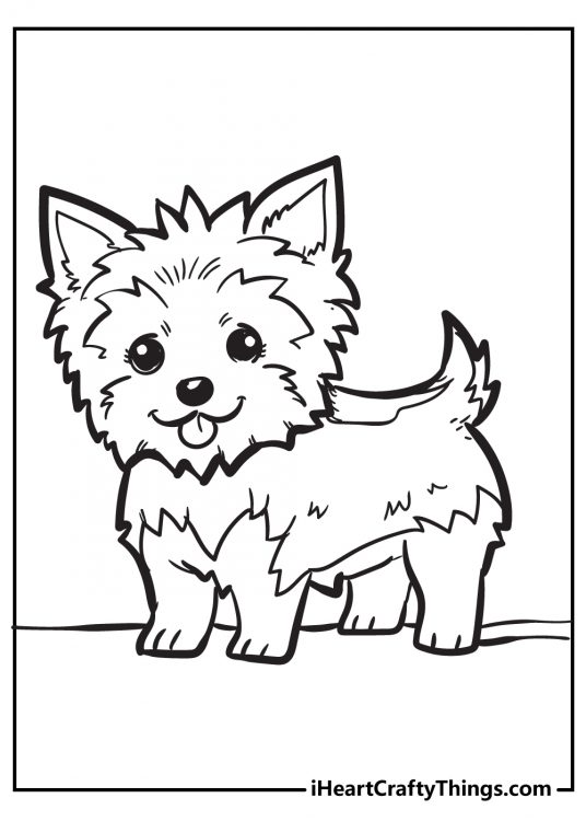 Coloring page featuring Yorkshire Terrier puppy with pointy ears and tongue sticking out of the mouth