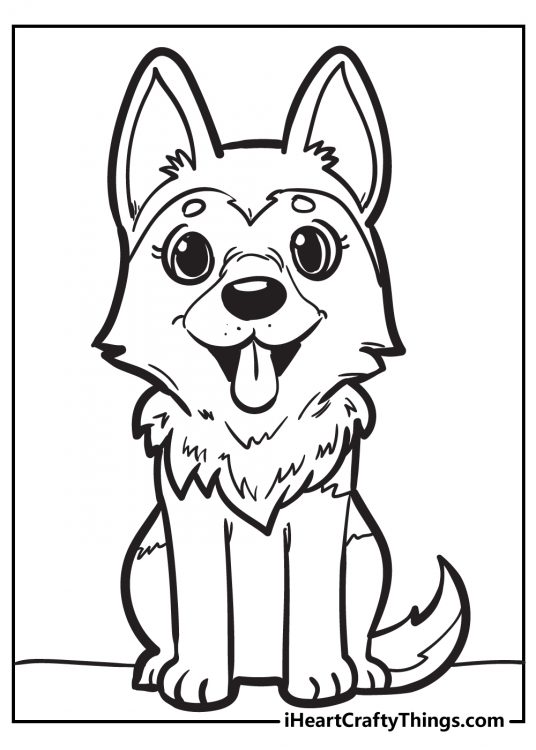 Detailed drawing of a cute husky puppy with thick fur coat and tonque sticking out of the mouth