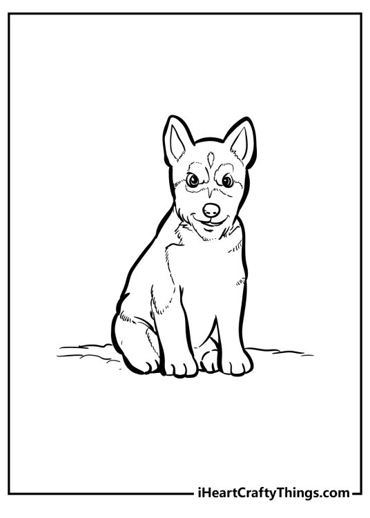 Puppy-themed printable coloring picture featuring sitting baby husky with background left blank