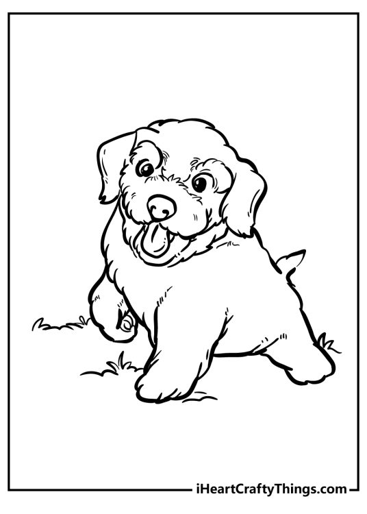 Free printable drawing of a playful little puppy with tongue sticking out of the mouth