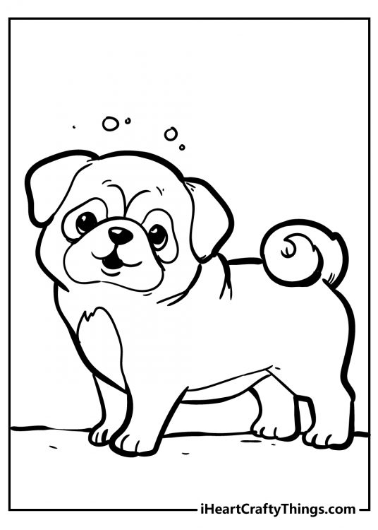 Puppy printable coloring sheet featuring little charming pug with adorable curly tail
