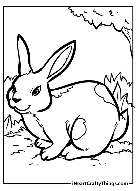 Original And Sweet Rabbit Coloring Pages