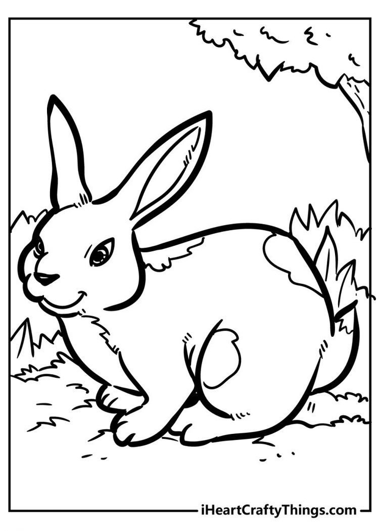 Original And Sweet Rabbit Coloring Pages