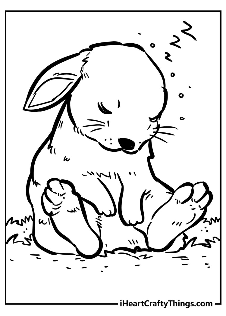 lop eared rabbit coloring pages