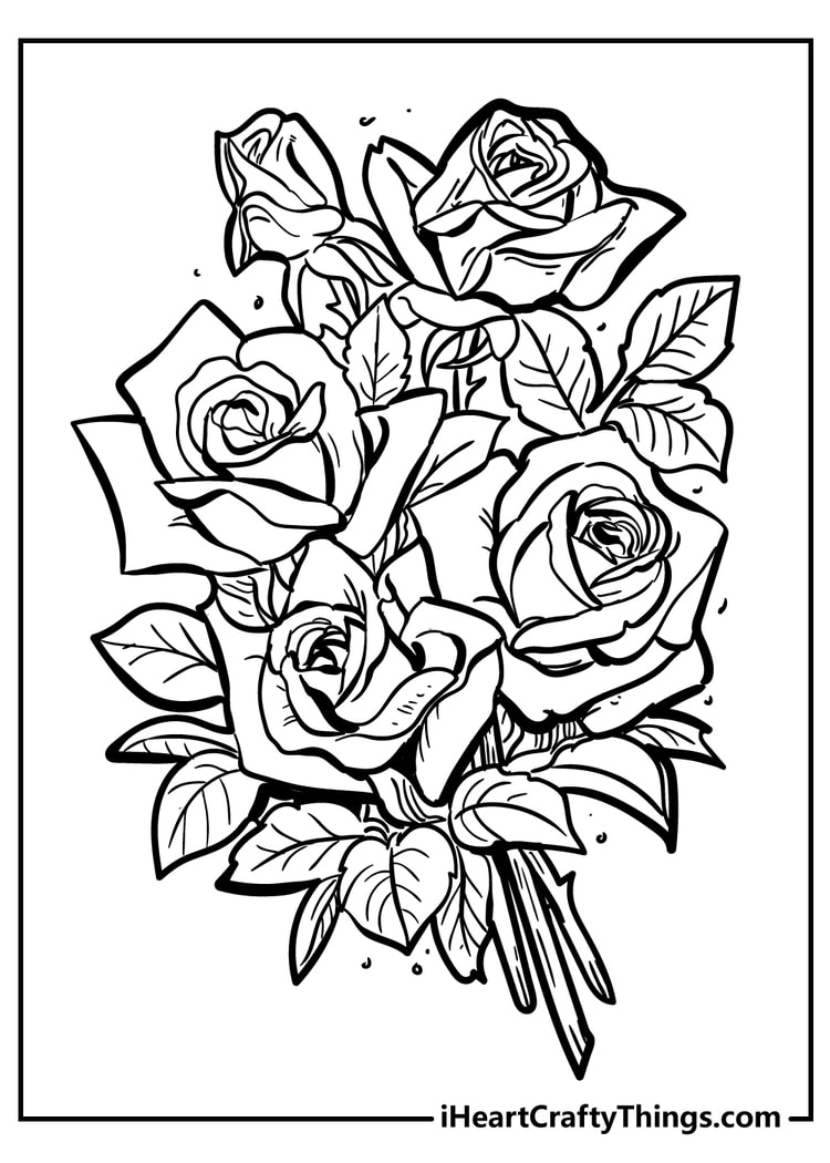 Roses Coloring Pages for Kids and Adults - Makenstitch