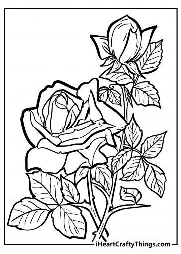 Rose Coloring Pages - Original And 100% Free (2021)