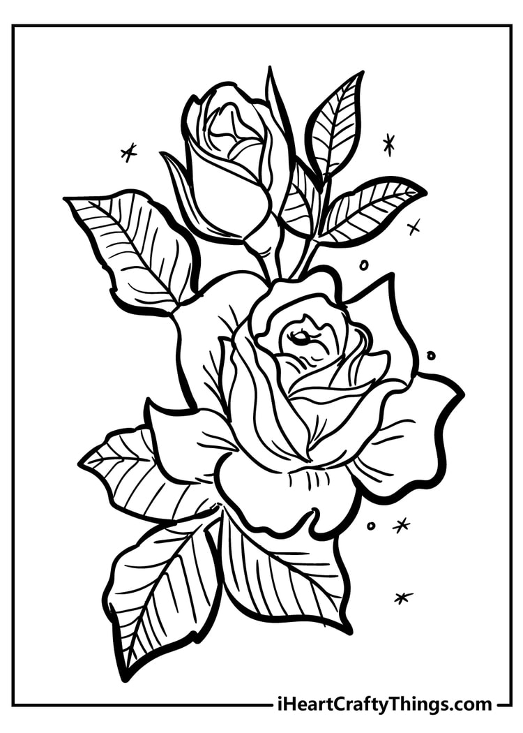 rose coloring pages - original and 100% free (2023)