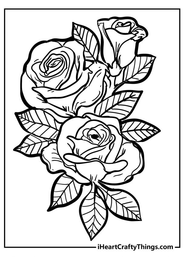 Rose Coloring Pages - Original And 100% Free (2021)