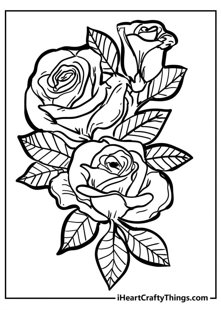 Rose Coloring Pages - Original And 100% Free (2021)