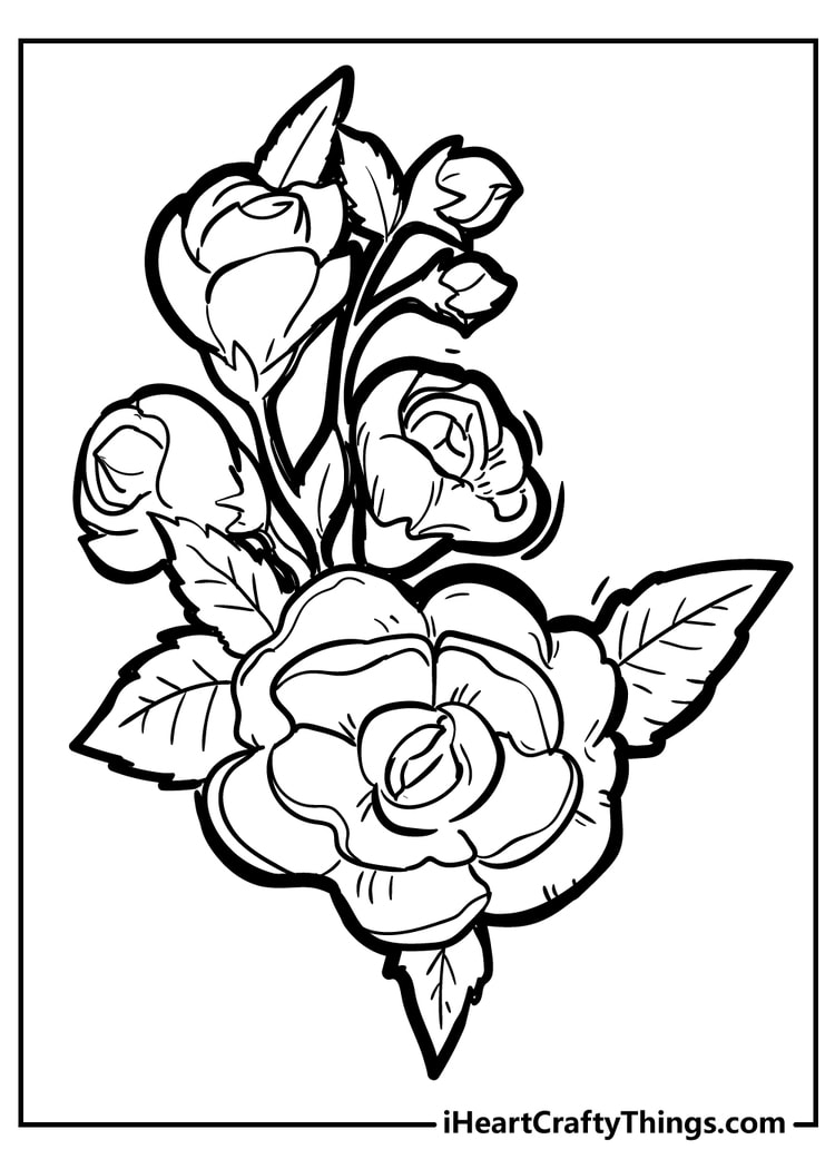 Printable Rose Coloring Pages - 30 Roses Illustrations - Easy