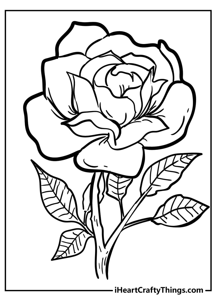 Printable Rose Coloring Pages - 30 Roses Illustrations - Easy