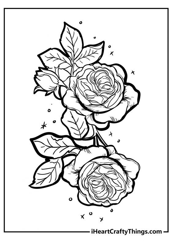 Rose Coloring Pages - Original And 100% Free (2021)