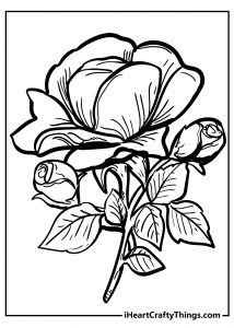 35 Rose Coloring Pages (100% Free To Download & Print)