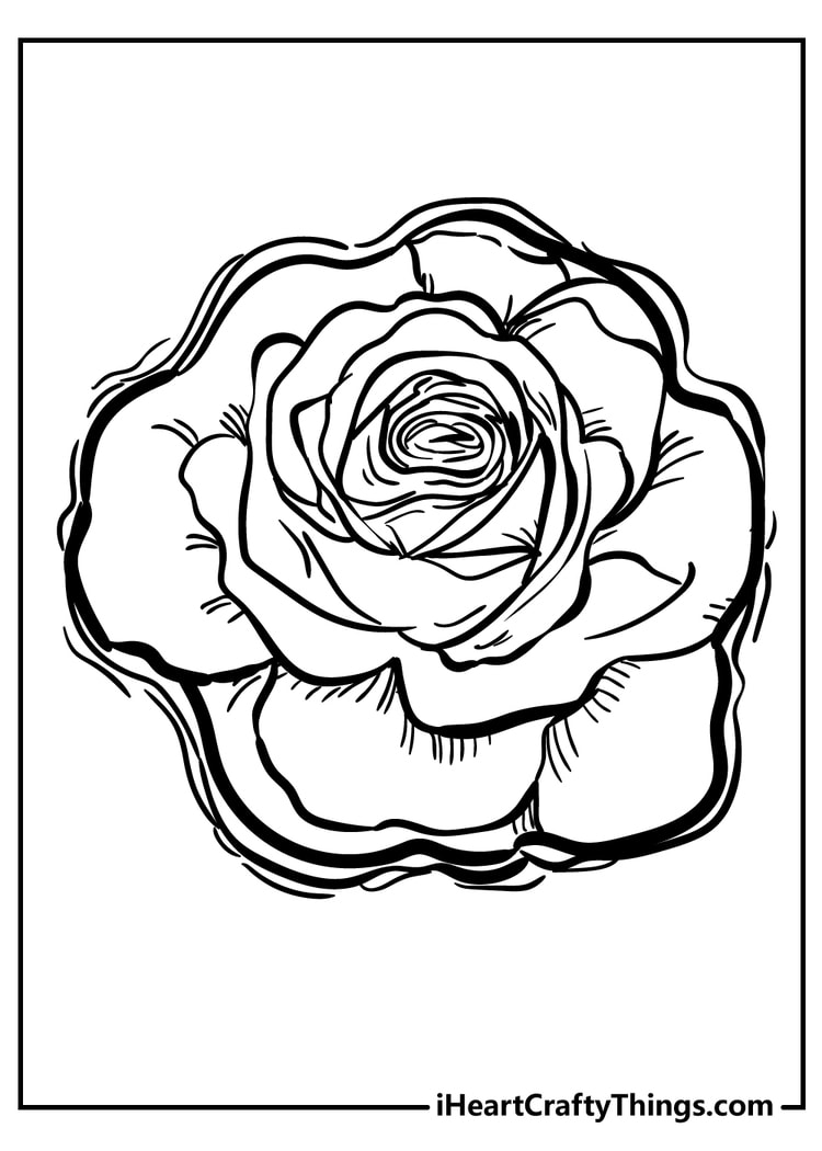 pictures of roses to color and print