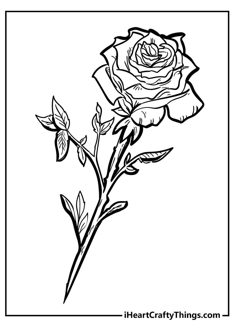 pictures of roses to color and print