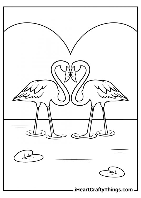 Coloring page with two flamingos standing in the water with their beaks touching in the shape of a heart