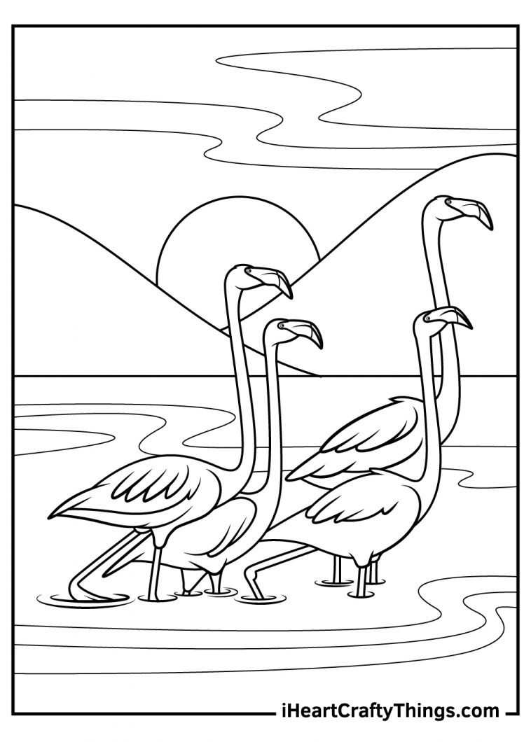 15 Flamingos Coloring Pages (100% Free Printables)