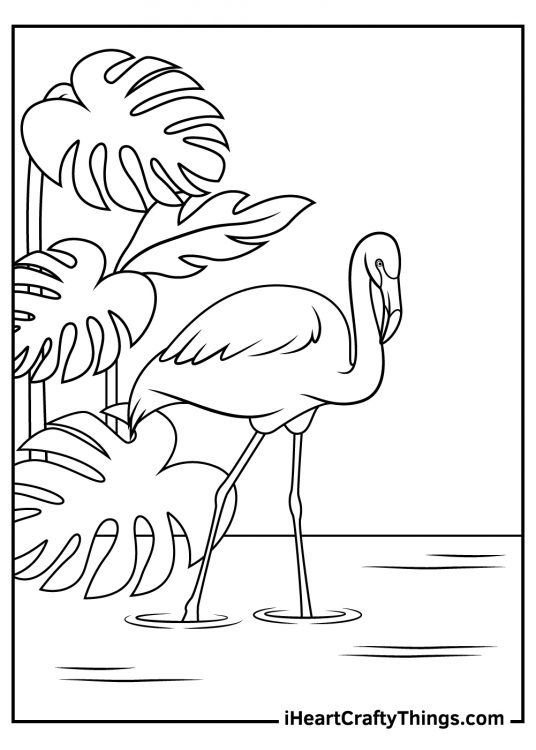 Free printable card of an elegant flamingo standing on the swamp with large palm leaves in the background