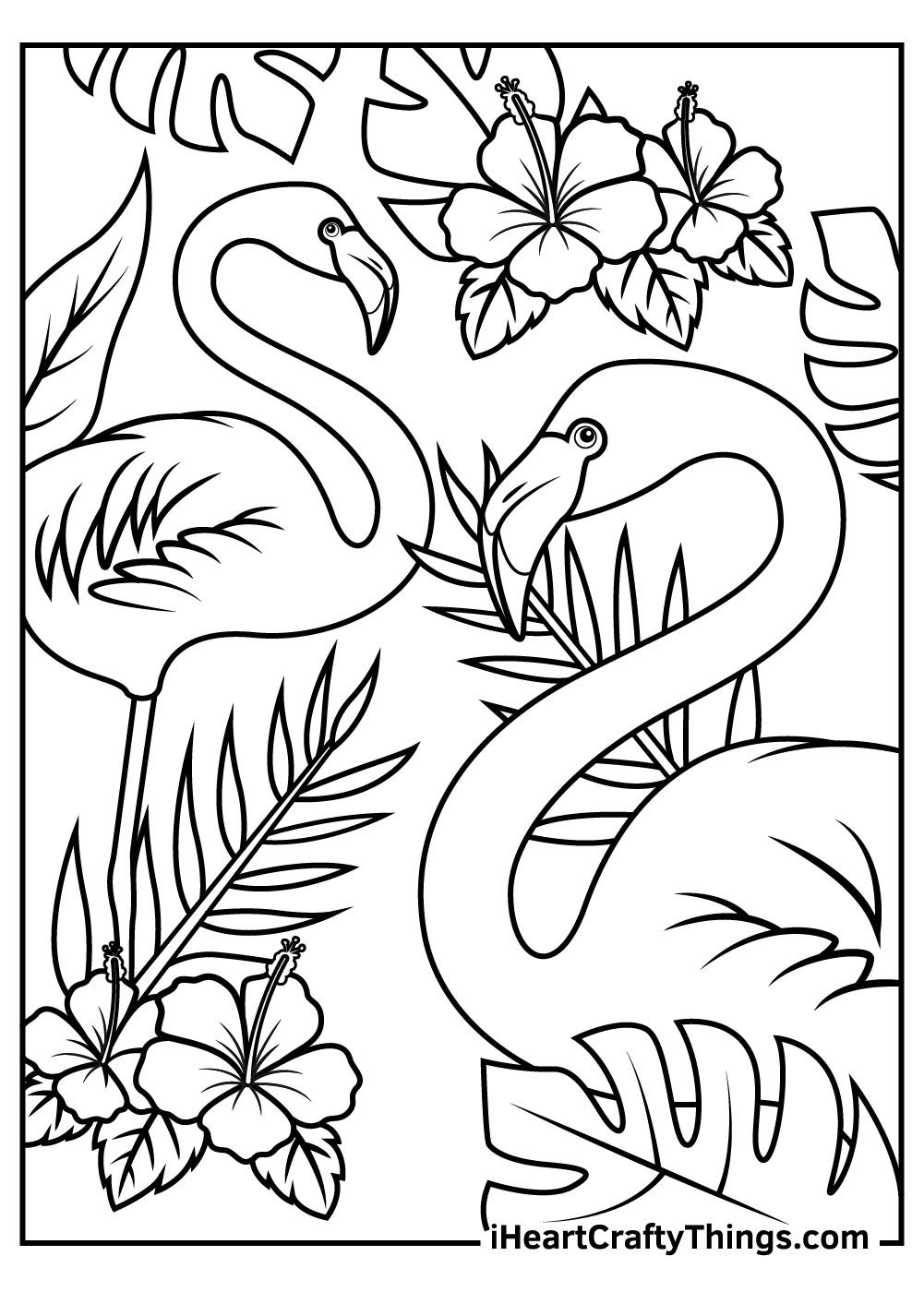 two flamingos free coloring page