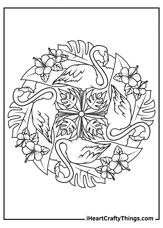 Free pdf featuring four flamingos in a circle with their legs touching at the center surrounded by flowers and leaves