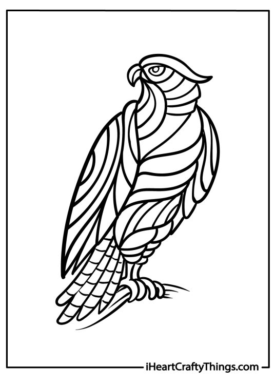 Abstract coloring picture presenting a majestic falcon perched on a branch with clear background