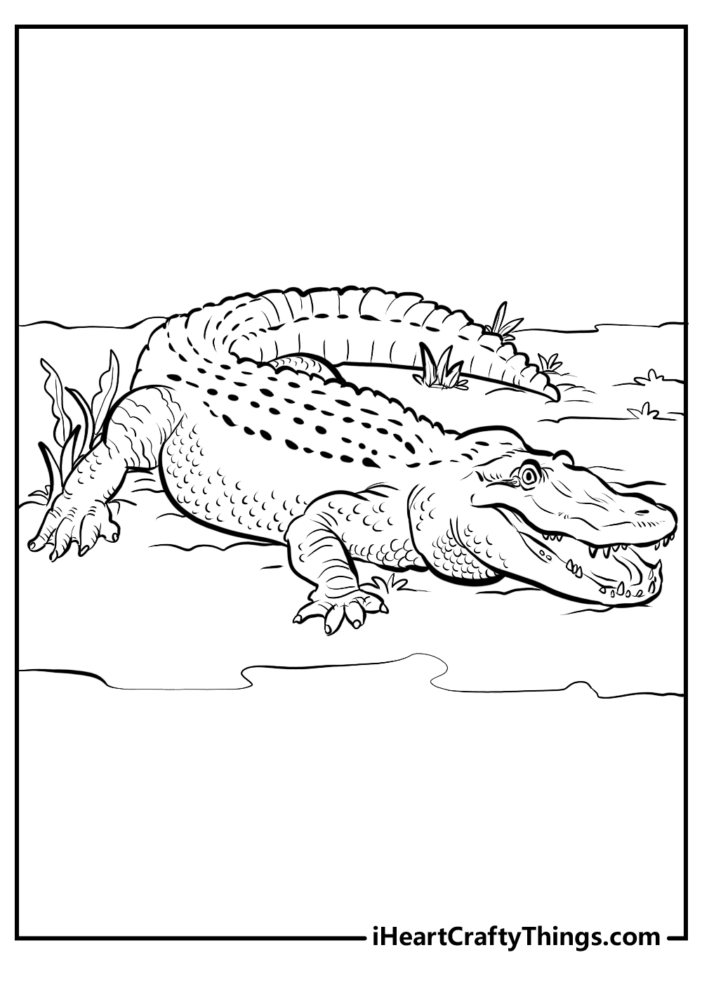 Coloring image for kids of an alligator with big toothy grin relaxing by the river bank