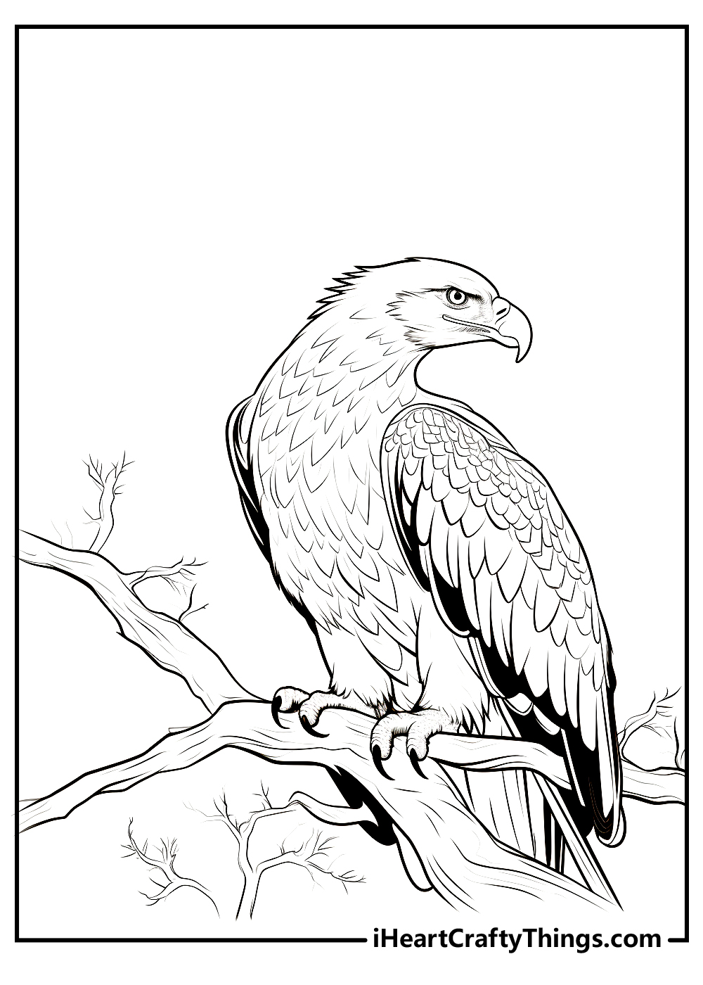 Bald Eagle Coloring Sheet Free pdf Download