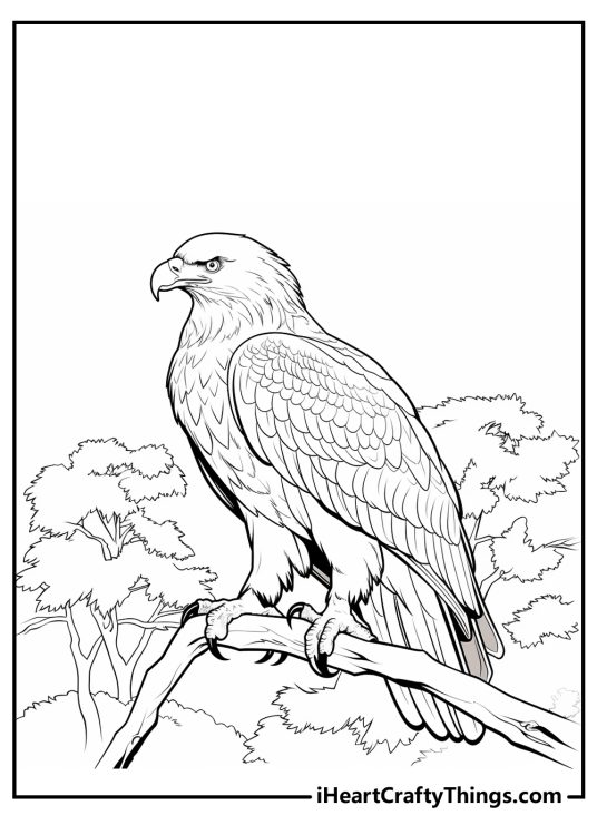 Drawing of a bald eagle perched with poise on a sturdy tree branch with more trees and bushes in the background