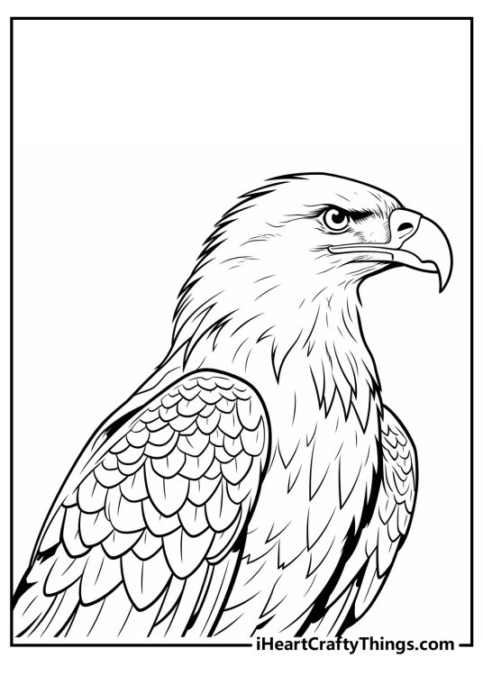 Printable coloring sheet for adults presenting intricate bald eagle portrayal with blank backround behind him