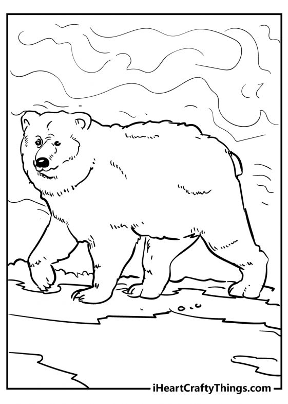 Bear Coloring Pages (Updated 2021)