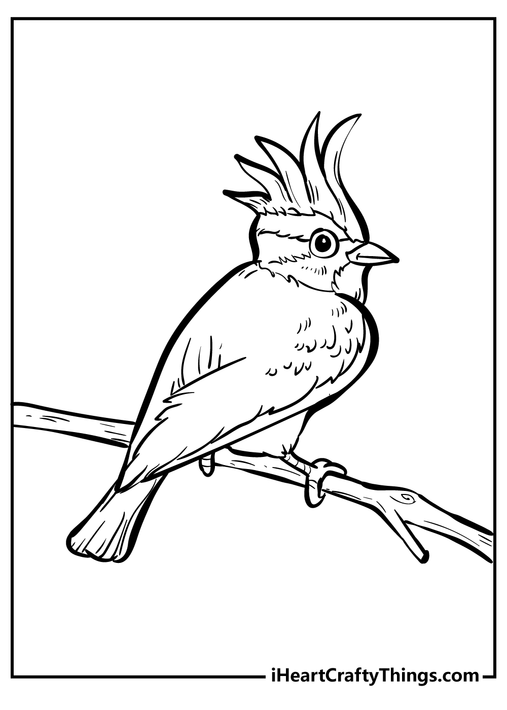 Singing Bird Coloring Sheet  Bird drawings, Card art, Bird sketch