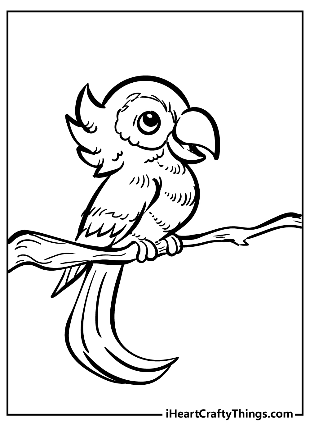 rainforest birds coloring pages