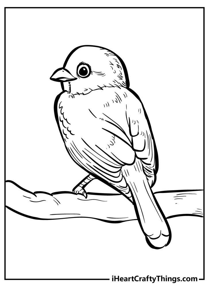 Unique Bird Coloring Pages (Updated 2022)