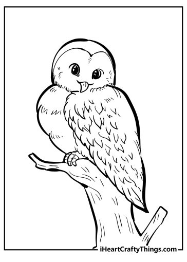 Unique Bird Coloring Pages (Updated 2022)