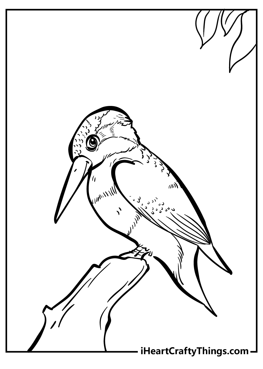 Bird Coloring Pages free printable