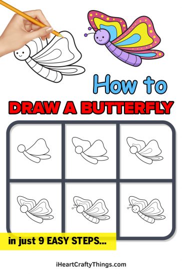 Butterfly Drawing - How To Draw Butterfly Step By Step