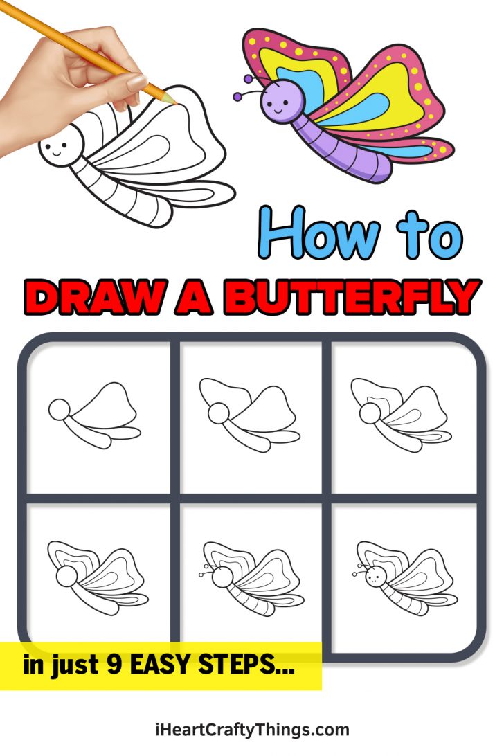 Butterfly Drawing - How To Draw Butterfly Step By Step