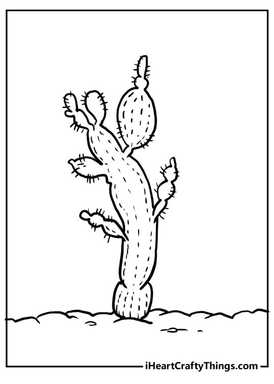 Coloring sheet for children presenting thick structure cactus growing in an open terrain