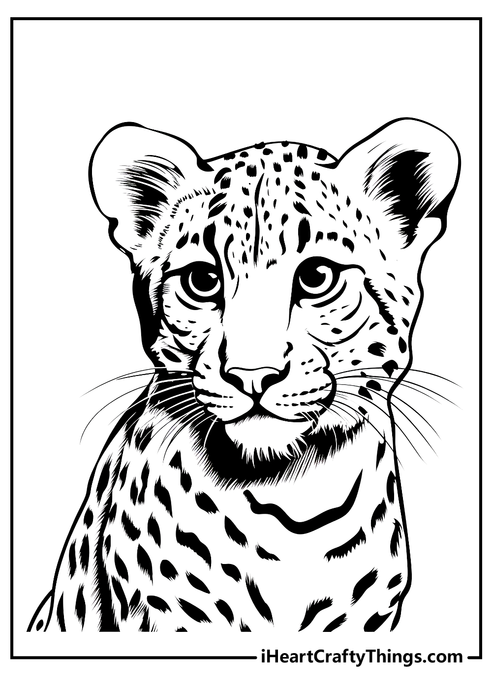 free cheetah coloring pdf sheet