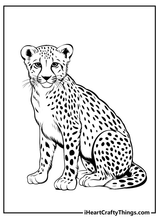 Cheetah Coloring Pages (100% Free Printables)